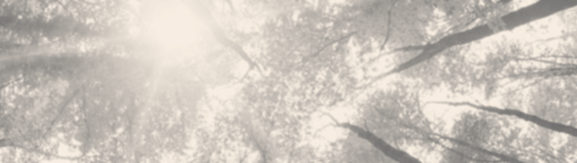 Trees pink_edited.png