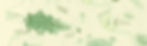 web header page AGAUCHEDUOUI.jpg