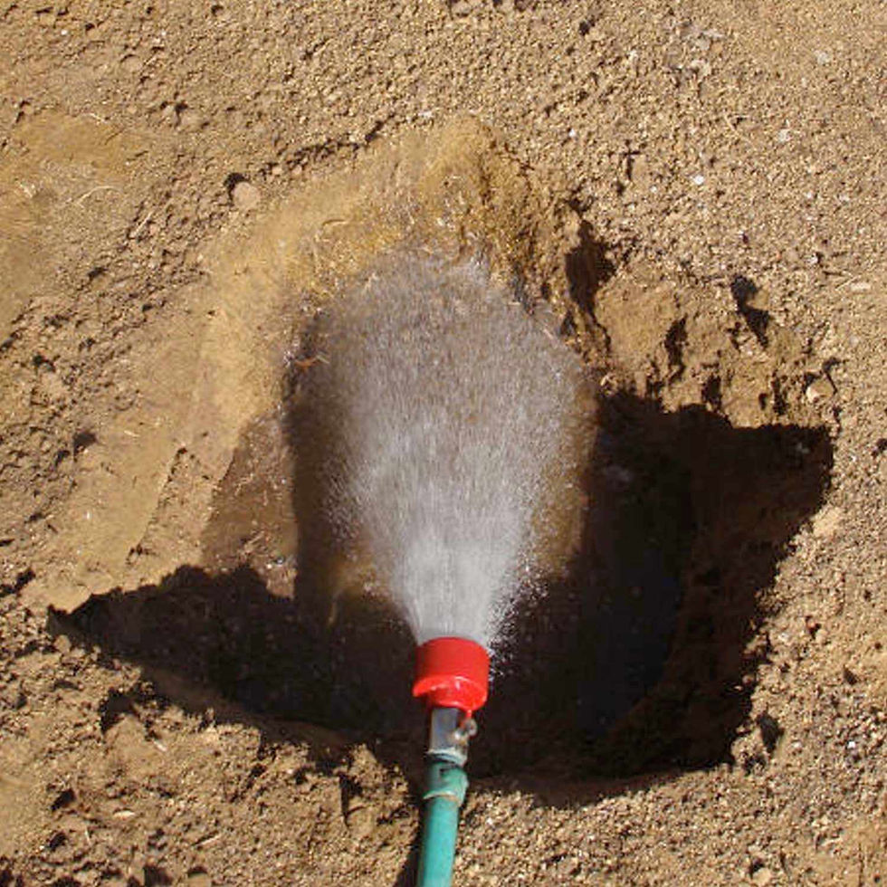 A clean, real-world shot of a freshly dug hole being prepared for planting — matches the instructions about hole width and depth perfectly.