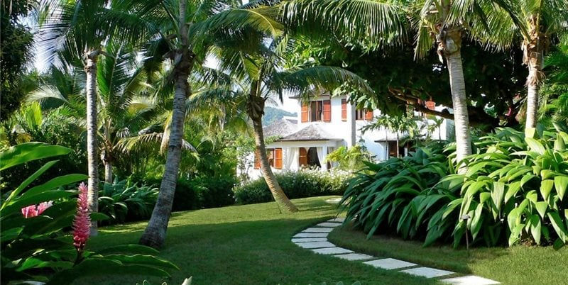 Tropical landscape with diverse plant species in Miami-Dade