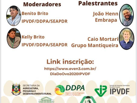 Dia Mundial do Ovo terá live sobre benefícios principais do alimento