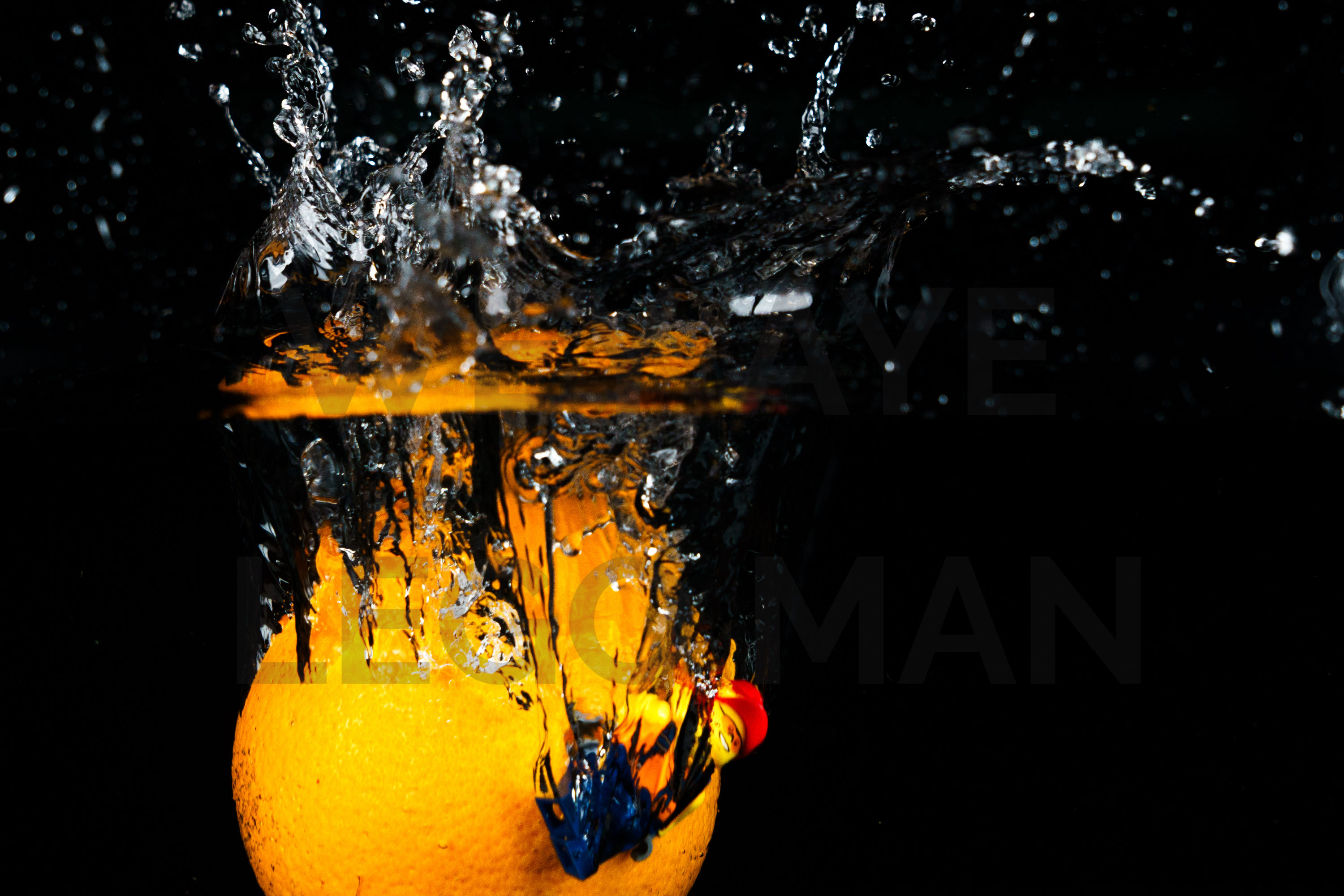 The Man from Del Monte by David