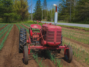 Notre parcours : comment Mon Panier Bio est né
