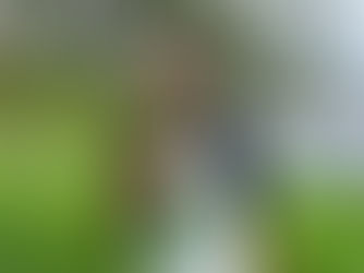 Notre salade de chou-rave & pomme verte!