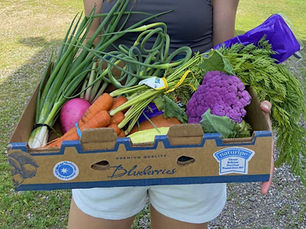 5 trucs pour éviter de gaspiller son panier bio