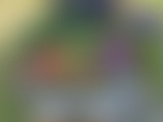 5 trucs pour éviter de gaspiller son panier bio