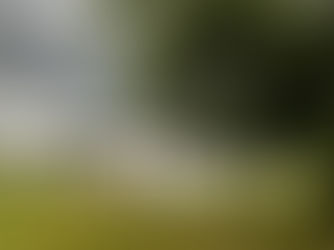 Ce que la terre nous enseigne, chaque jour