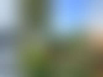 Douze mois de maraîchage, douze mois de passion