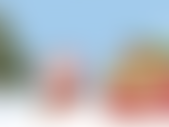 Cadeaux locaux et bio : offrir de la santé pour Noël