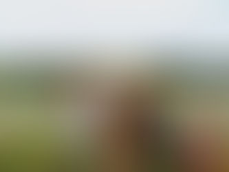 Un panier à la fois, ça change tout