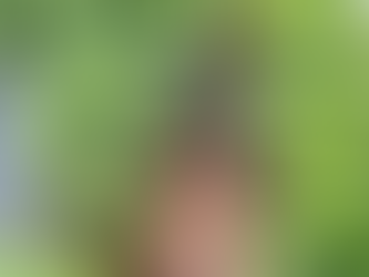 Comment nos chats contribuent à l’équilibre de notre ferme