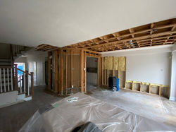 Asbestos Removal  5