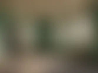 Understanding and Recognizing: Residential Asbestos