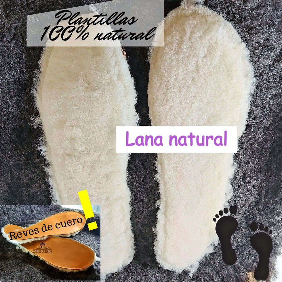 Miniatura: Plantillas