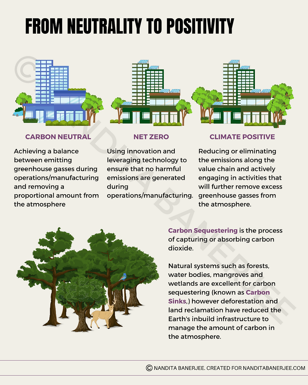 infographic on carbon neutrality and net zero, created by author