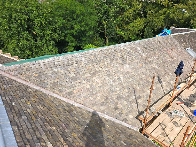 Natural slate roofing with trees in the background