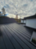 roof2.jpeg