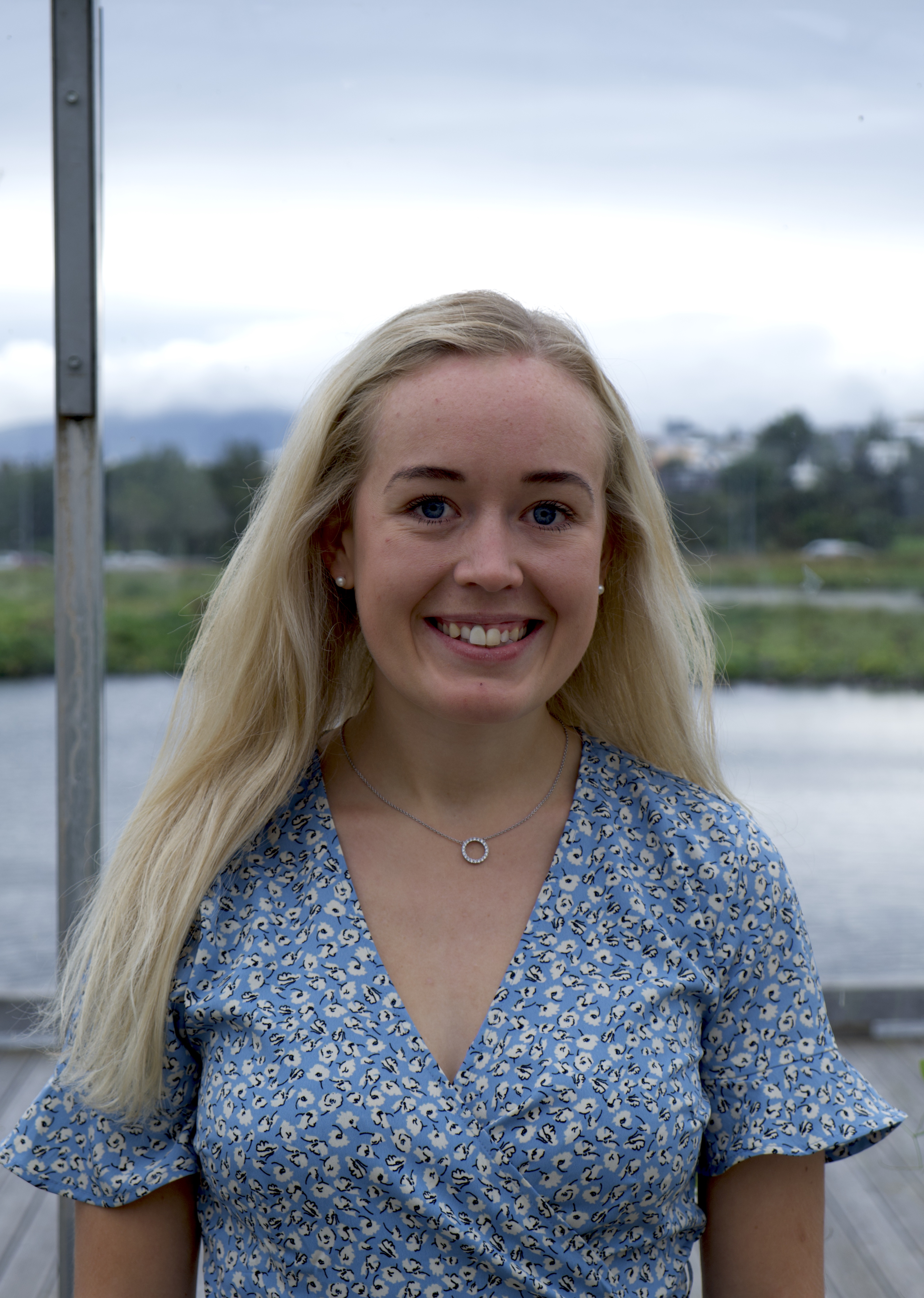 Writer: 2c51ce5b-0d7b-4b17-86a9-552d4cb54a39