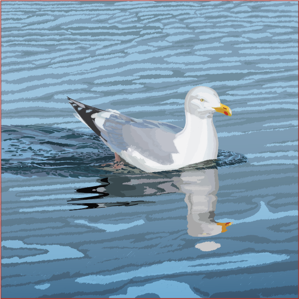 seagull