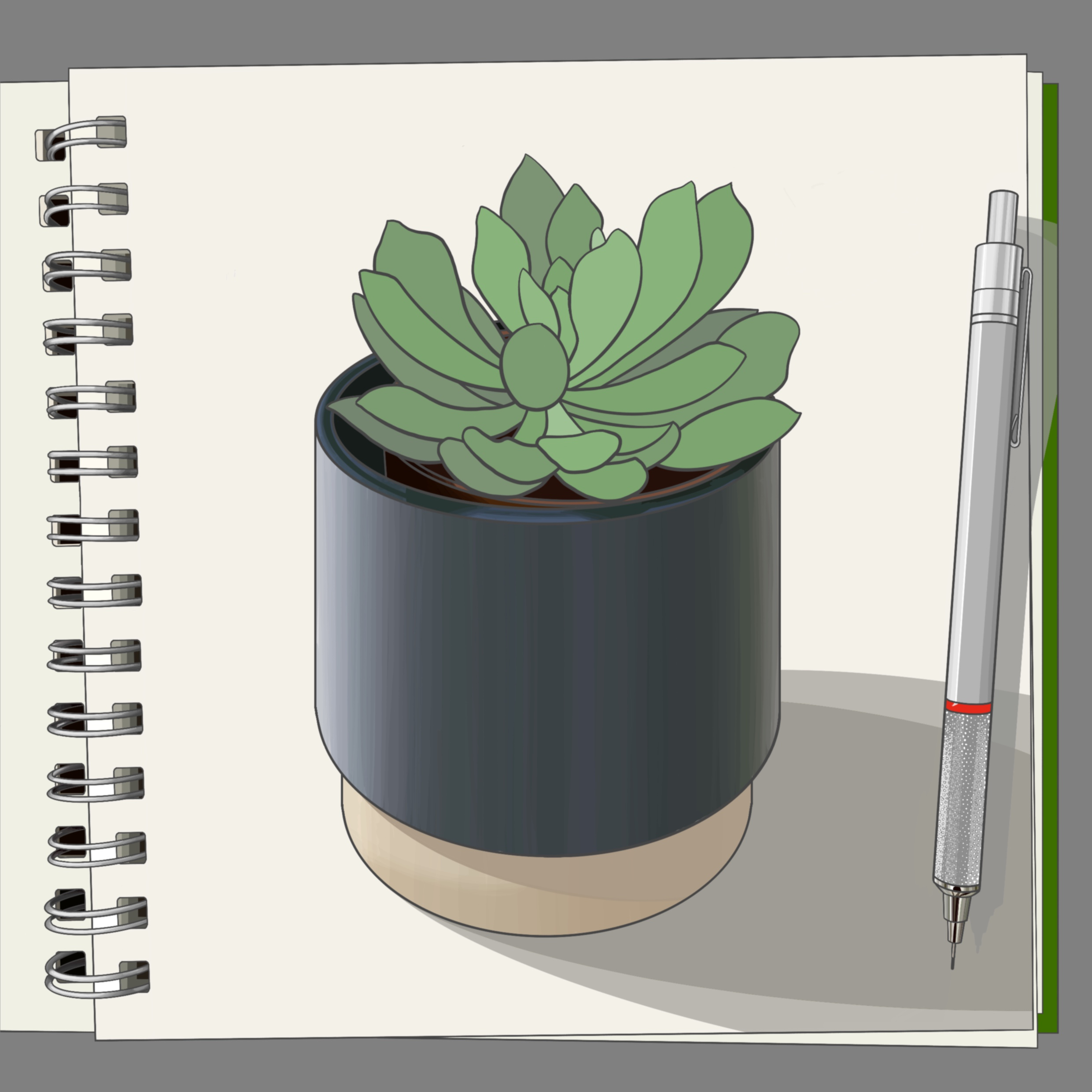 Succulent-drawing_colour