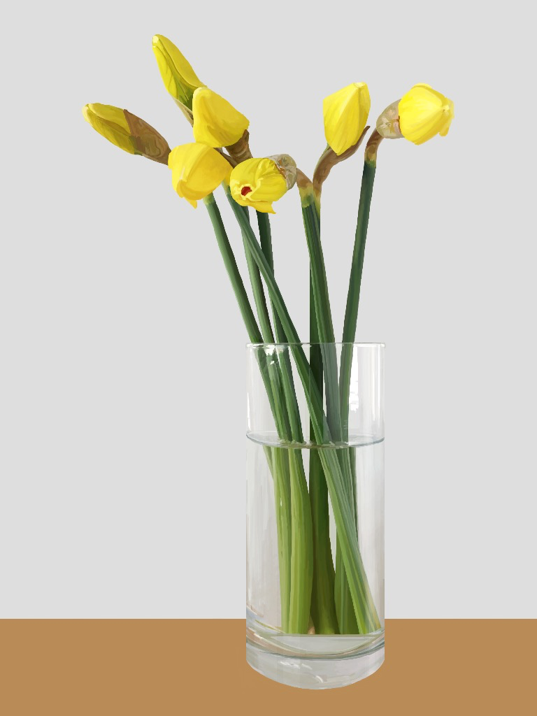 daffodils