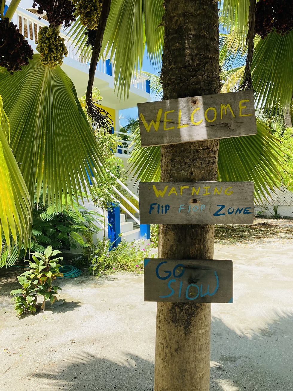 Welcome, Flip flop zone..