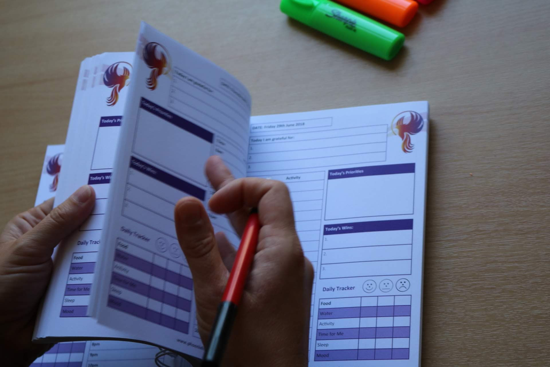 Phoenix Journal - A5 Wirebound - Aca