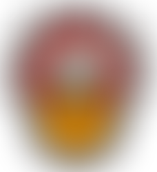 Leading Through Overwhelm: Strategic Systems for High-Performing Leaders