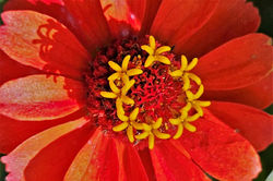 COL/Medellin - Santa Elena