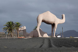 Uga - Verkehrskreisel