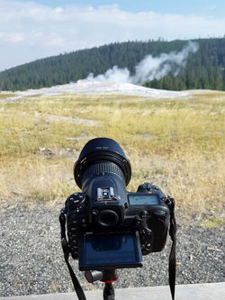 USA/Yellowstone N.P.