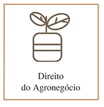Direito Penal Empresarial (3).png