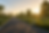 Empty road with trees and green lawns at sunrise