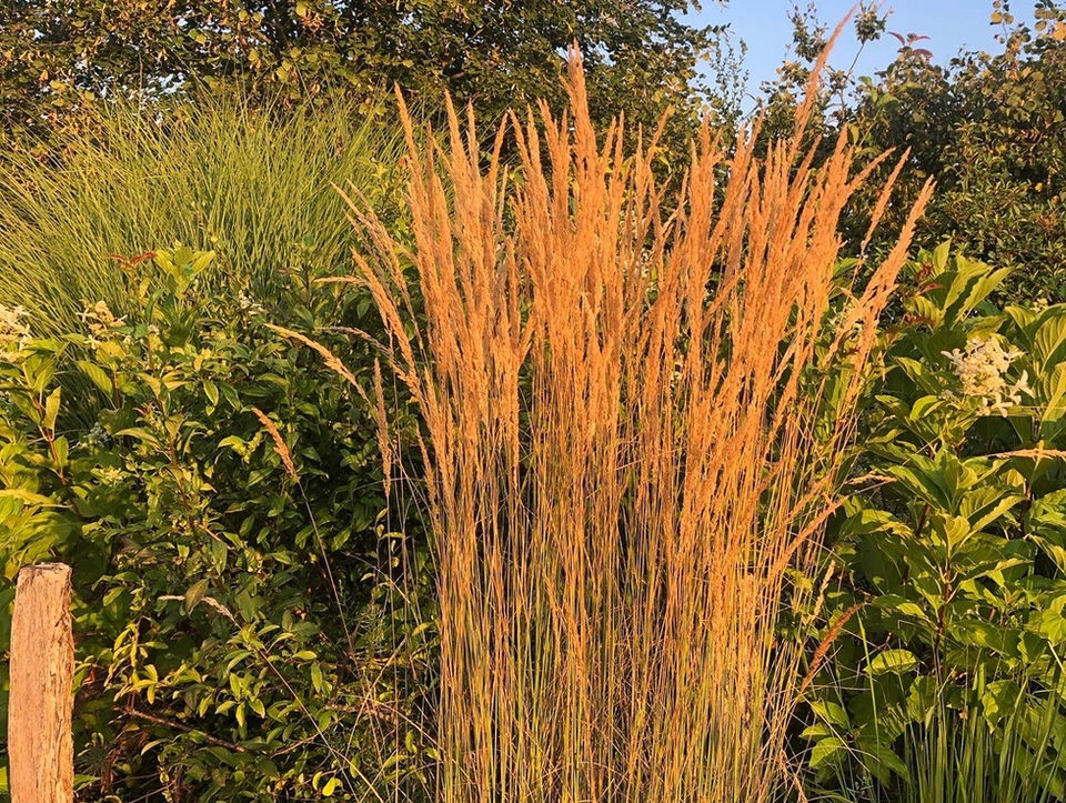 Jardin remarquable, Les Jardins des Soussilanges