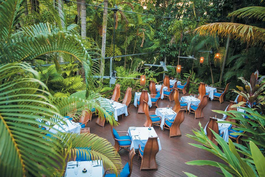 Miniatura: PORT DOUGLAS ELOPEMENT