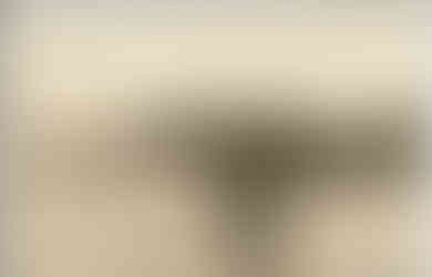 Свирь, 04.1916 г.