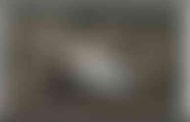 Свирь, 10.1917 г.