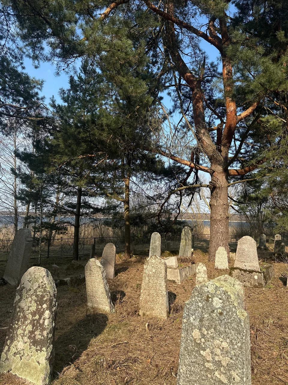 Еврейское кладбище в Свири, наши дни