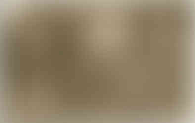 Свирь, 10.1917 г.