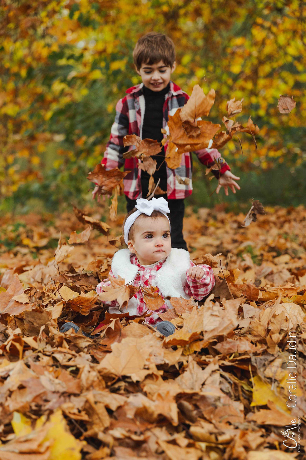 Deux enfants jouent dans des feuilles aux belles couleurs d'automne; un garçon debout derrière une fillette assise, signature Coralie Daudin.