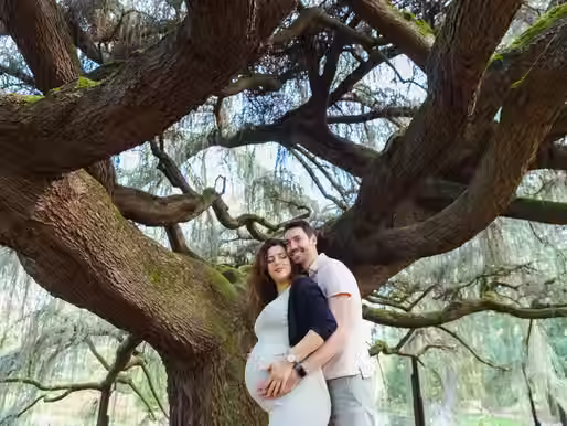 Photographie professionnelle d'un couple attendant un enfant devant l'incroyable cèdre bleu pleureur de l'Atlas de l'arboretum du parc de la vallée aux Loups