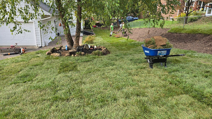 Sod installation