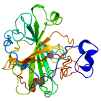 Human Carbonic Anhydrase