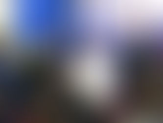 Mirlande H. Manigat déplore le manque de moyen accordé au HCT