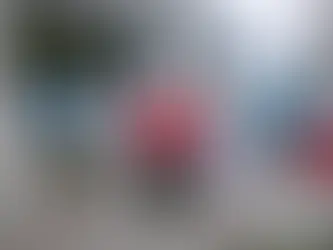 Le bilan du séisme en Turquie et en Syrie s’élève à plus de 30 000 morts.