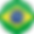 Brazil-icon.png