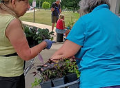 Grayslake Library planting 2021.jpg
