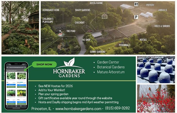 1.26 Hornbaker (2).jpg