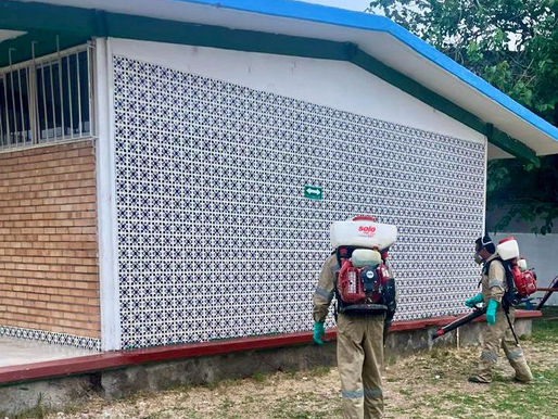 Lleva salud acciones de saneamiento y fumigación a escuelas públicas contra el dengue y rickettsiosis