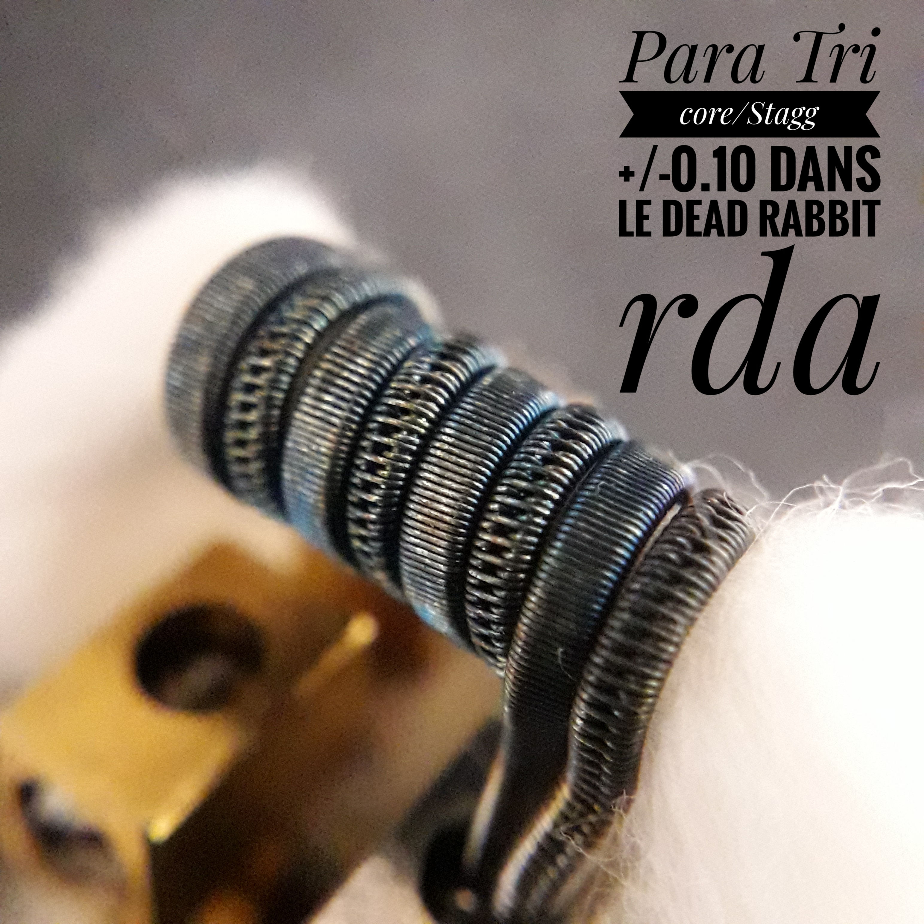 Parallèle Tri core/Stagg +/-0.10ohm